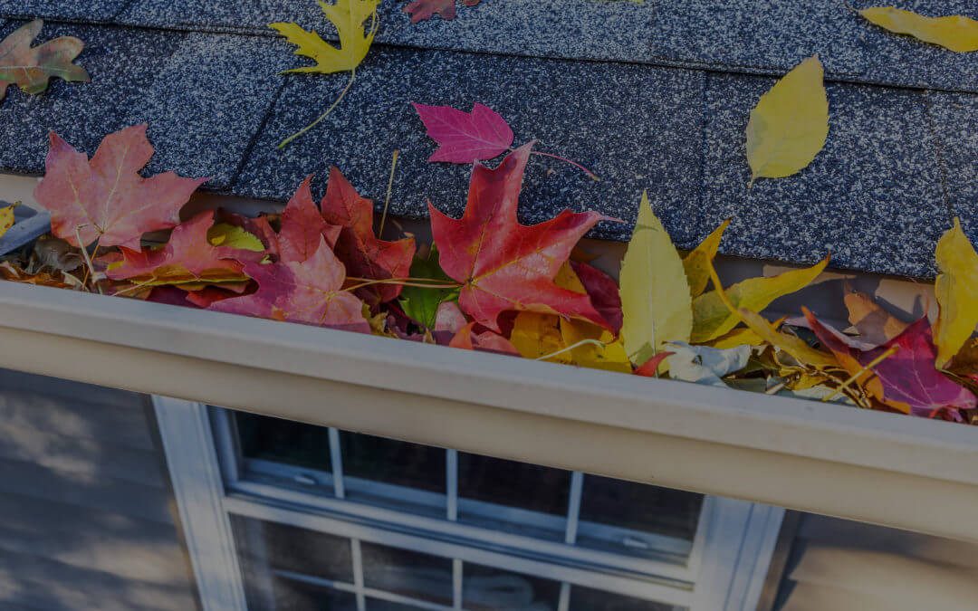 Best Fall Maintenance Practices for Your Residential Roof