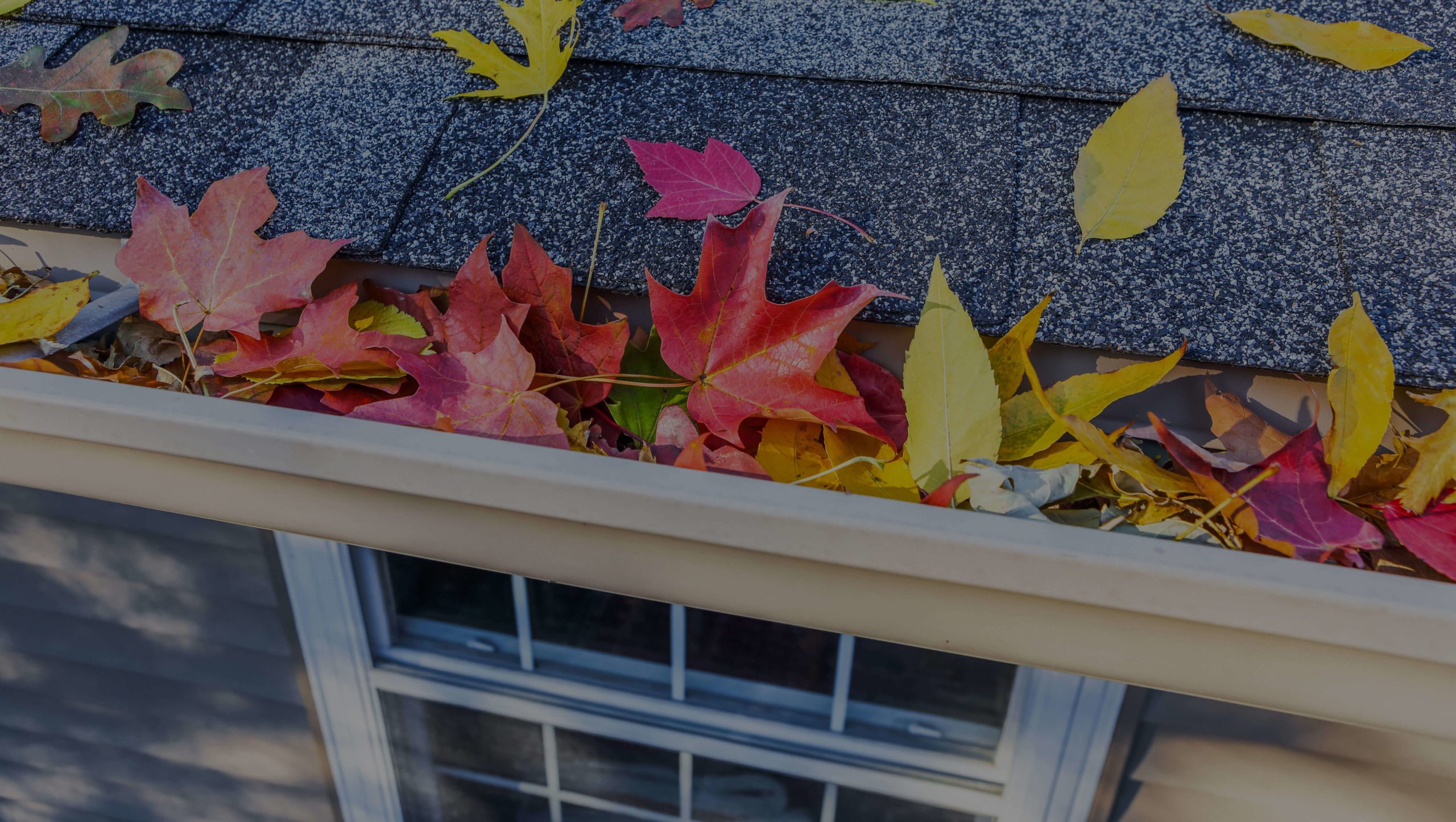 Best Fall Maintenance Tips for Your Roof | PRQ Exteriors