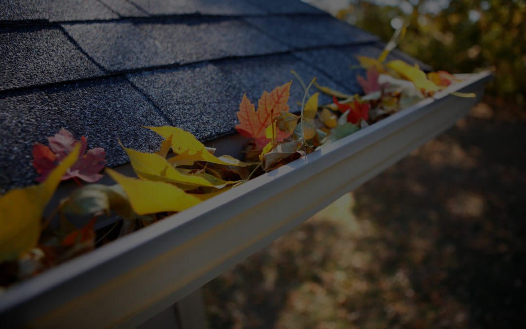 Keeping Gutters & Drains Clean in the Fall